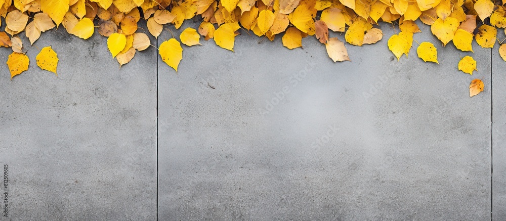 Aufkleber a top down perspective of an autumn sidewalk with yellow fallen leaves on a modern pathway showcasin