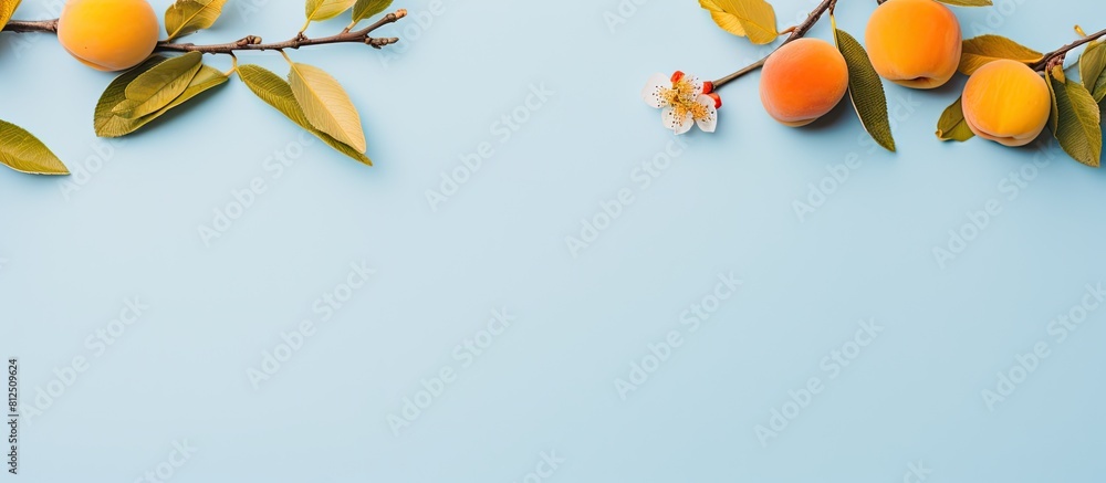 Poster A top down view of a flat lay arrangement featuring two branches with yellow leaves and plums on a light blue background The composition includes a frame blank paper and ample copy space