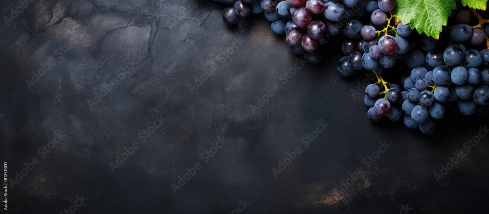 Poster The top view shows a collection of plump ripe blue grapes resting on a dark scratched surface in this copy space image