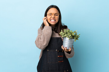 Young brunette mixed race woman holding a plant over isolated blue background frustrated and...