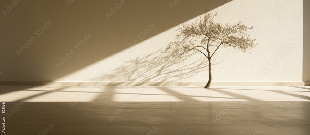 Leinwandbilder a tree s shadow casting across the floor depicting the concept of a tree providing shade. creative b