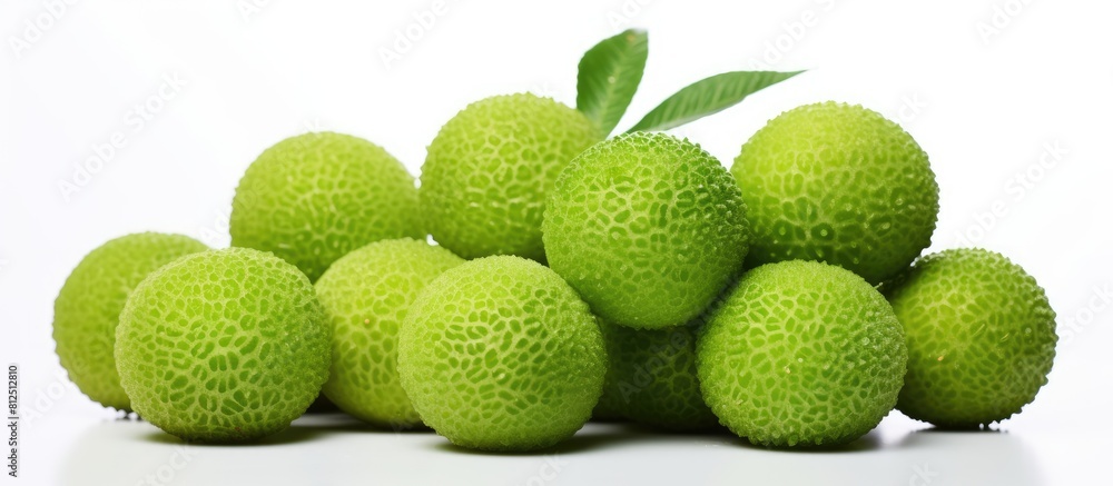 Poster fresh spondias dulcis fruit with a vibrant green color showcased on a clean white background providi
