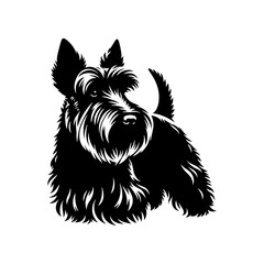 Minimalist Scottish Terrier Vector Silhouette - Capturing the Classic Charm of this Iconic Breed in Simplistic Elegance- Scottish Terrier Illustration.