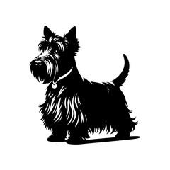 Minimalist Scottish Terrier Vector Silhouette - Capturing the Classic Charm of this Iconic Breed in Simplistic Elegance- Scottish Terrier Illustration.