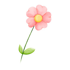 pink flower