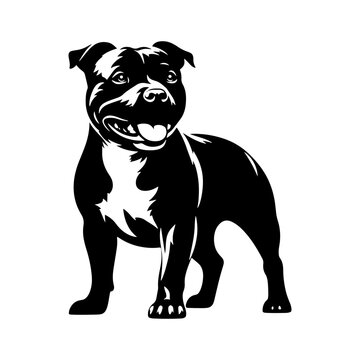 recommend clip art: Staffordshire Bull Terrier Vector Silhouette - Capturing Strength and Courage in Simplistic Elegance- Minimalist Staffordshire Bull Terrier- Illustration of Staffordshire Bull Terrier.