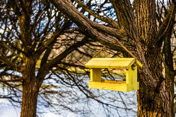 wooden bird feeder hanging on a tree branch.