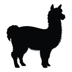 Fototapeta premium silhouette of a alpaca animal