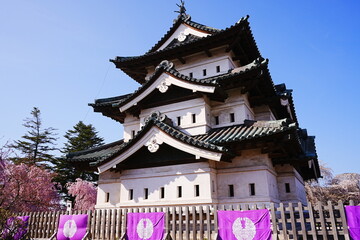 Fototapeta premium Hirosaki Castle surrounded by Pink Sakura or Cherry Blossom in Aomori, Japan - 日本 青森 弘前城 桜の花 