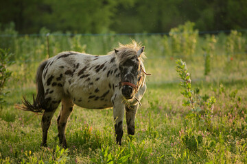 Fototapeta premium lueur