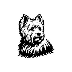  West Highland White Terrier vector Silhouette - Capturing the Endearing Beauty and Playful Spirit of this Beloved Breed-  West Highland White Terrier Illustration.