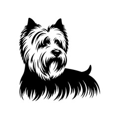  West Highland White Terrier vector Silhouette - Capturing the Endearing Beauty and Playful Spirit of this Beloved Breed-  West Highland White Terrier Illustration.