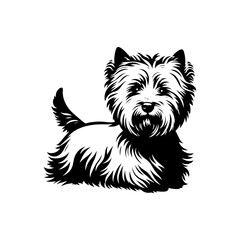  West Highland White Terrier vector Silhouette - Capturing the Endearing Beauty and Playful Spirit of this Beloved Breed-  West Highland White Terrier Illustration.