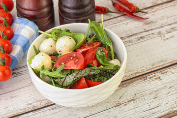 Mix salad with mozzarella and tomato