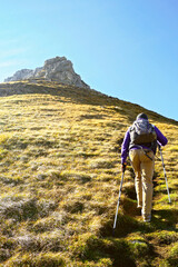 A tourist with hiking poles, photographed from the back, begins to climb the mountain trail to the top of Sedlena Greda in the Durmitor National Park. Active recreation in the mountains of Montenegro