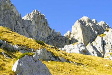 Contrasting nature in Durmitor National Park: view of a cozy grassy slope and harsh gray rocks against a blue sky. The area of Zupci, which is part of the Sedlena Greda mountain in Montenegro.