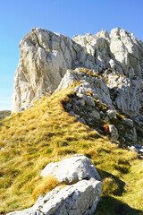 The northern part of Mount Sedlenha from Durmitor National Park: a view of a slope overgrown with yellowed grass and harsh rocks. Landscape from hiking in Montenegro.