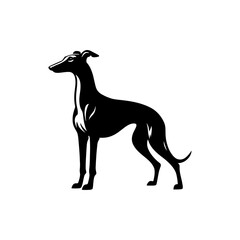 Whippet Dog Vector Silhouette - Minimalist whippet Dog Illustration.