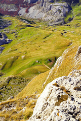 Fragment of the autumn Dobri do valley in Durmitor National Park (Montenegro). Top-down view of a mountain valley with bright green and yellow grass and a couple of village houses built in it