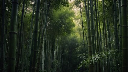 photo of a bamboo forest that looks beautiful and calming made by AI generative