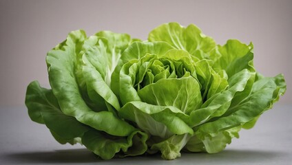 green cabbage