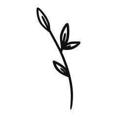 Obraz premium black and white flower Monochrome Leaf