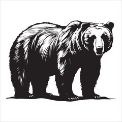 vector silhouette of a Bear