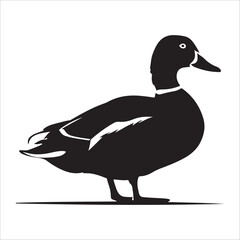 vector silhouette of a duck