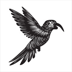 Vector silhouette of a Parrot bird with intricate body details on a White background.