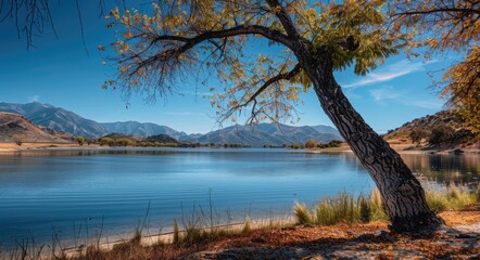 Perris Lake. Serene Landscape of Lake Perris State Park, California with Blue Waters, Forest