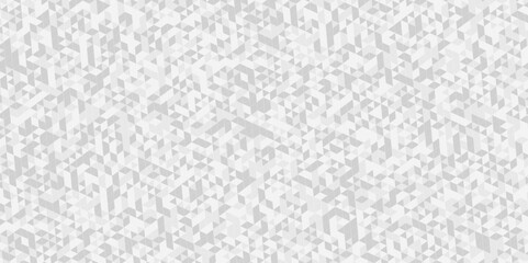 Abstract triangle polygonal gray background. Modern abstract geometric polygon background. Abstract  seamless polygon background vector illustration. White and gray Polygon Mosaic Background.	