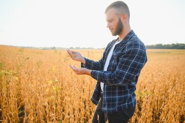 farmer agronomist in soybean field checking crops. Organic food production and cultivation