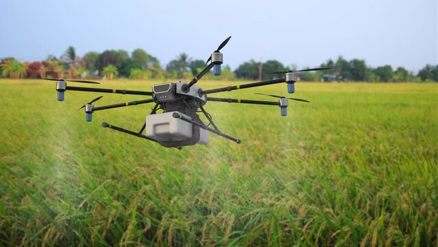 Agriculture technology concept with 3d rendering drone fly above and spray fertilizer 4k footage