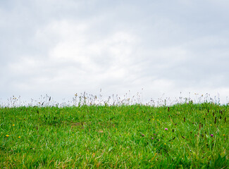 green meadow on cloudy sky