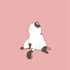The cat sits like a lady on a pink background