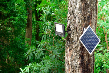 Solar panels and light bulbs on tree in forest and natural background,Solar energy, electricity from solar cells on background of natural and sunlight,Concept sustainable and environment.