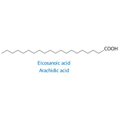 Eicosanoic acid, Arachidic acid molecule skeletal structure diagram.fatty acid compound molecule scientific illustration on white background.