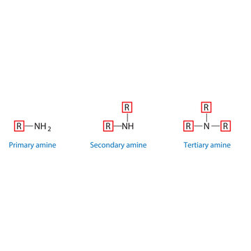 Primary, Secondary and Tertiary amine molecule skeletal structure diagram.organic compound molecule scientific illustration on white background.