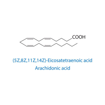 (5Z,8Z,11Z,14Z)-eicosatetraenoic acid, arachidonic acid molecule skeletal structure diagram.fatty acid compound molecule scientific illustration on white background.