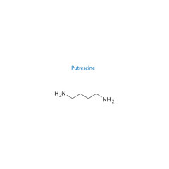 Putrescine molecule skeletal structure diagram.organic compound molecule scientific illustration on white background.