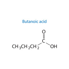 Butanoic acid molecule skeletal structure diagram.organic compound molecule scientific illustration on white background.