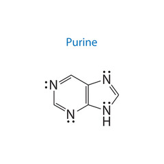 Purine molecule skeletal structure diagram.organic compound molecule scientific illustration on white background.