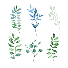Green leaves watercolor set, floral illustration