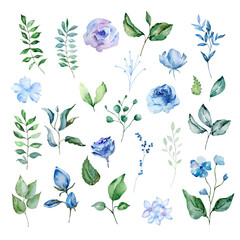 Blue watercolor blossom flowers set