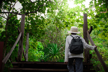 Man hiking to the mountains,children carrying a black backpack and a hiking hat is looking up at trees and hiking up mountain on trees and sunlight background, concept of travel and adventure.