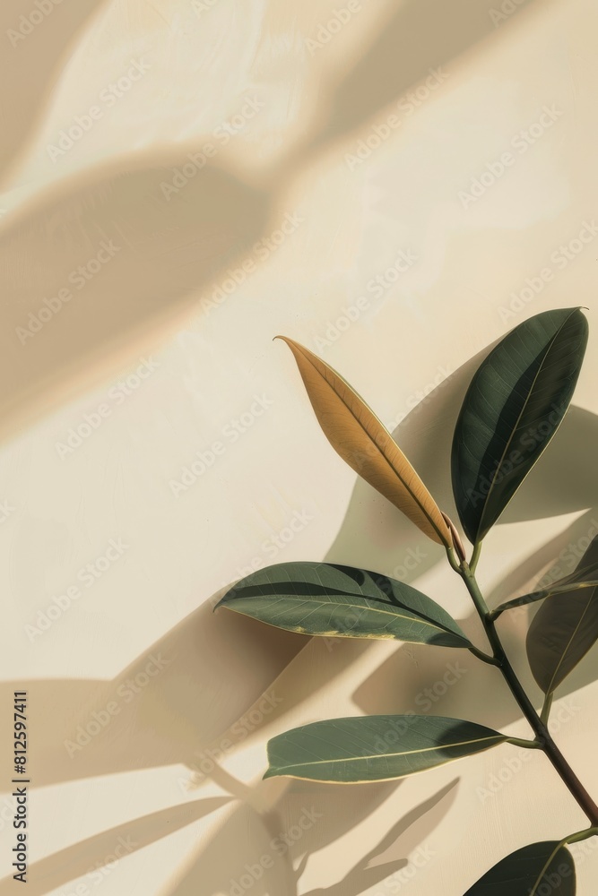 Poster A minimalistic image of a plant casting a shadow on a textured wall, creating a serene and modern feel