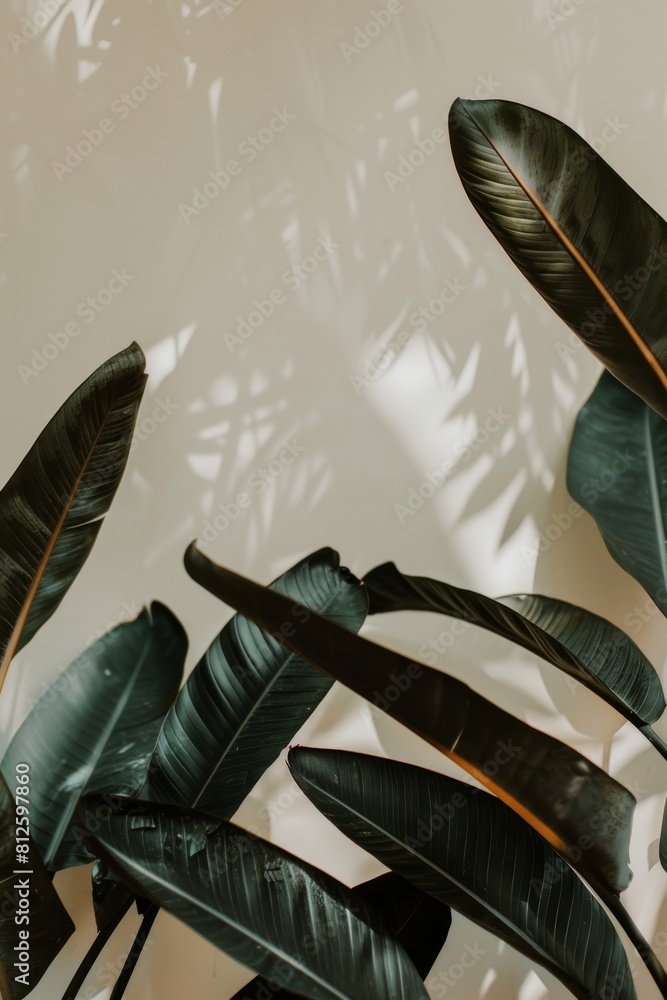 Aufkleber image showcasing elegant dark tropical leaves against a light background with soft shadows creating 