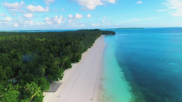 Beautiful tropical beach and sea with coconut palm tree in Kei island