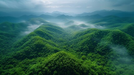 Fog over mountains covered with impenetrable green forests, view from above