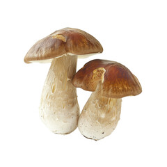 A Peach Isolated And Captured Mid-Flight, Isolated Transparent Background Images